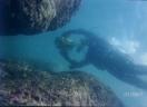 Filmando el buceo en los Frailes (Venezuela)